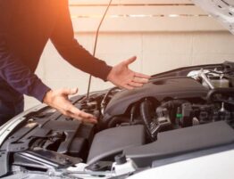 istockphoto-1146925991-612x612