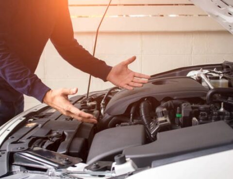 istockphoto-1146925991-612x612